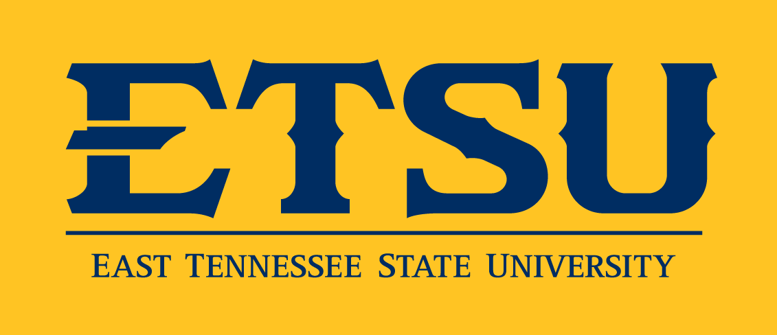 ETSU Buccaneers 2014-Pres Wordmark Logo13 vinyl decal